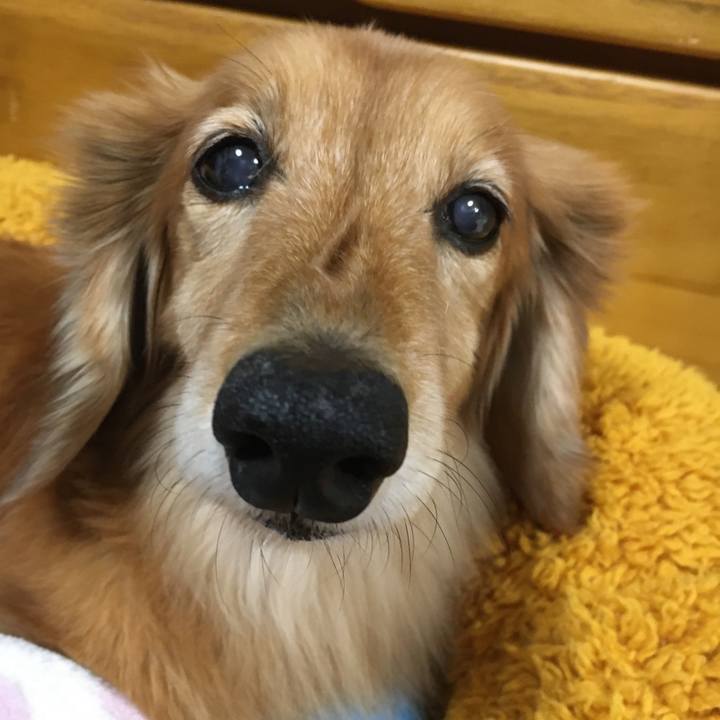 59b1be71 e1f8 4bfb 8bed e142b05b9a9a 1636811629488