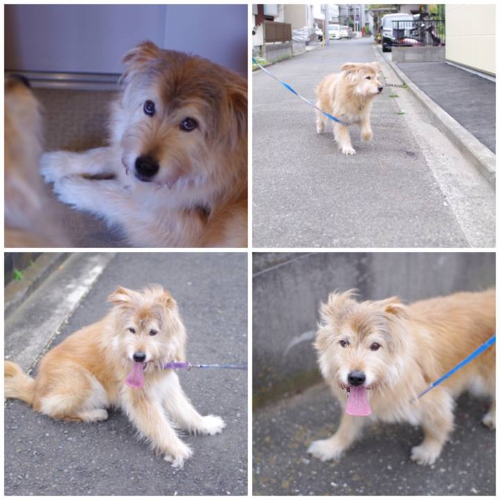 59b1c1e3 e42d 4fbe 90e8 e99e0970be5d 1617606466477