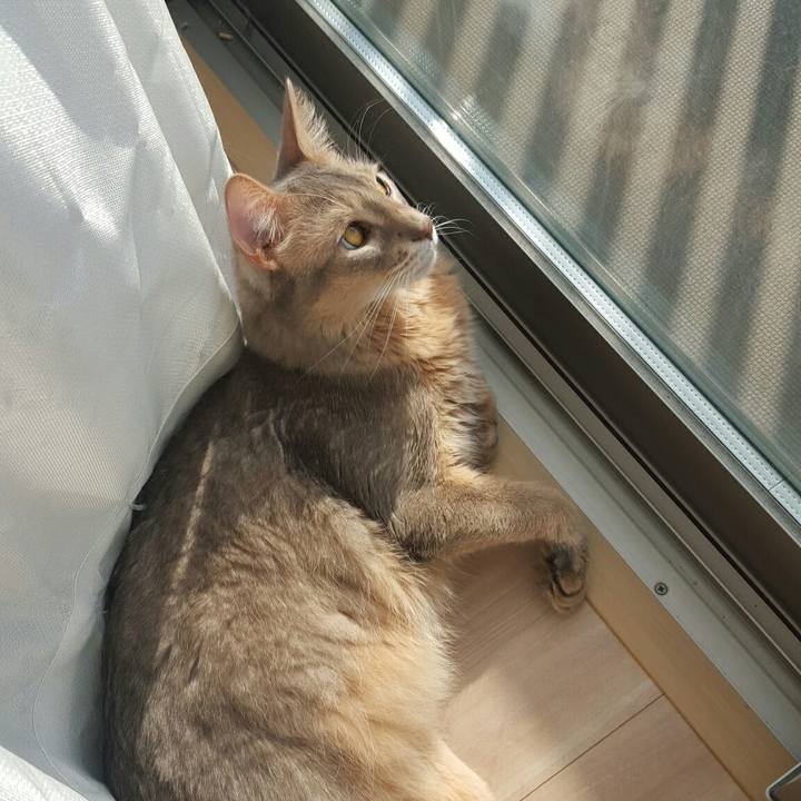 59b1c2fa 6d82 4a28 b869 489e9cef2c3d 1548465518242