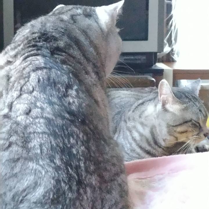 59b1c950 ca84 4053 b7a0 1f240fb9de8d 1673067853277