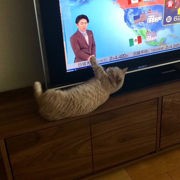 59b1d33b 4a6d 437f 92b4 7286e5e7f259 1538475984699