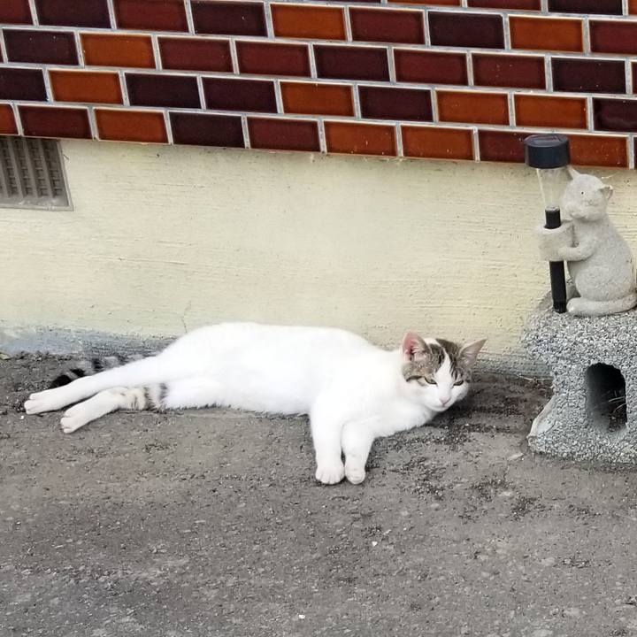 59b1d9f1 fafe 489d b878 f5e198de5c34 1559133121452