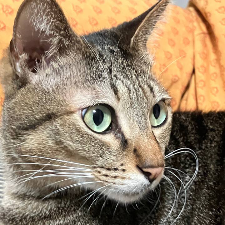 59b1fbd8 e3f1 40d1 bcb1 2311a00815c3 1766186901274