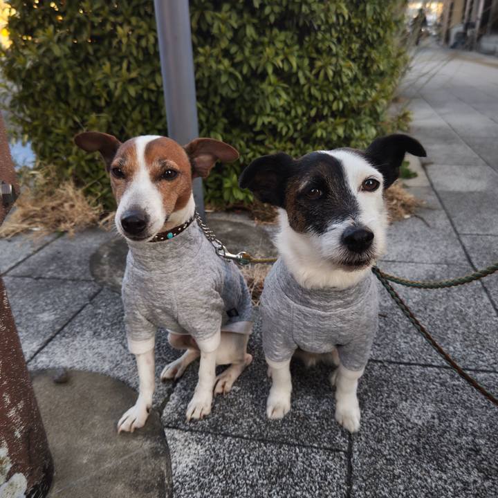 59b21d29 f672 4dcd 8174 a4a98a291179 1740606312259