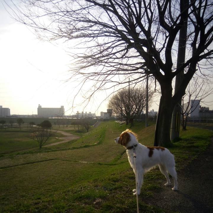 59b2472f fb5b 44a5 b64a 323e44f42883 1520854338413