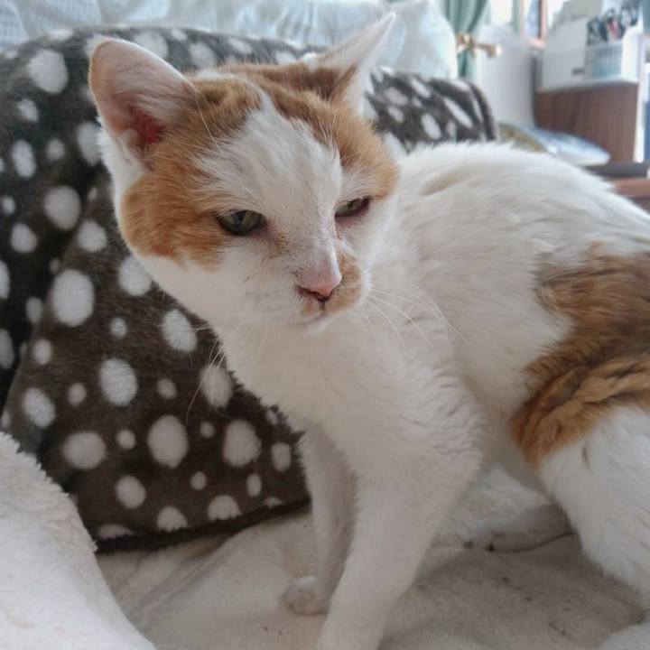 59b25967 56af 467e 9e17 337d5c0e5313 1581217015453