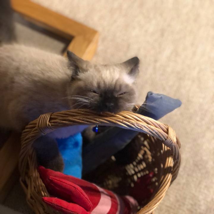 59b27f0c 4ff0 4e53 a58d 06c8b61a4fe2 1588935194726