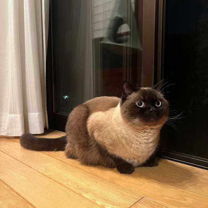 59b2bab8 17eb 40b6 a57d 4bd460a0852e 1681904163497