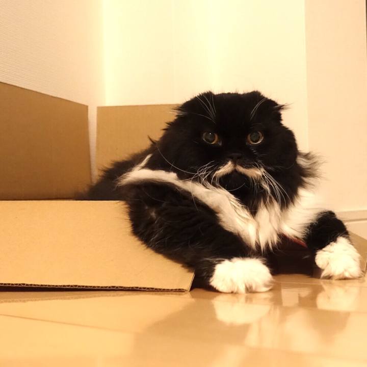 59b2bd67 ac70 4dfd 8b2f 07cb17981724 1518361260464