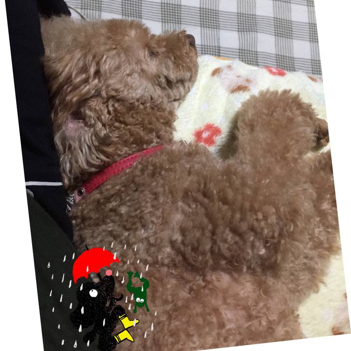 59b2bea9 1e38 41f7 a619 fa6a5b0562d4 1529448271337