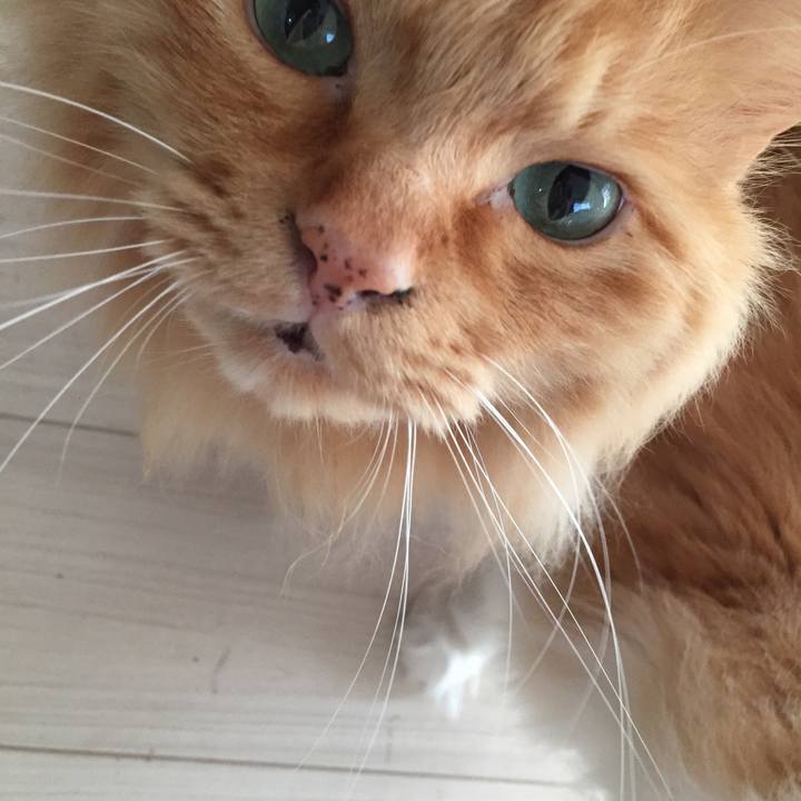 59b2de51 cc76 4f05 8157 f6d136386d7d 1524003449668