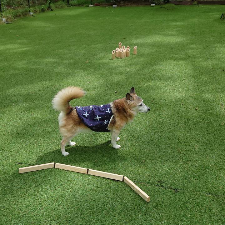 59b2f4da ab75 40e3 8136 54b73f4f3ea7 1727000419673