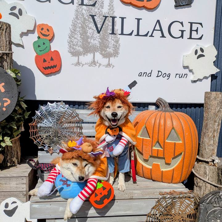 59b2f545 7d3a 42f9 b820 ffecda834522 1760331652524