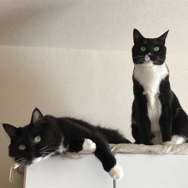 59b2fcbf 7a74 4a3c b737 d5538f587825 1540165886640