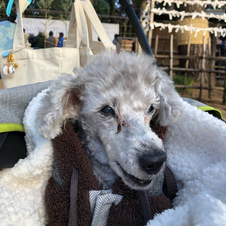 59b3003b 5994 4c2b b530 ac70054e77f2 1672829563725