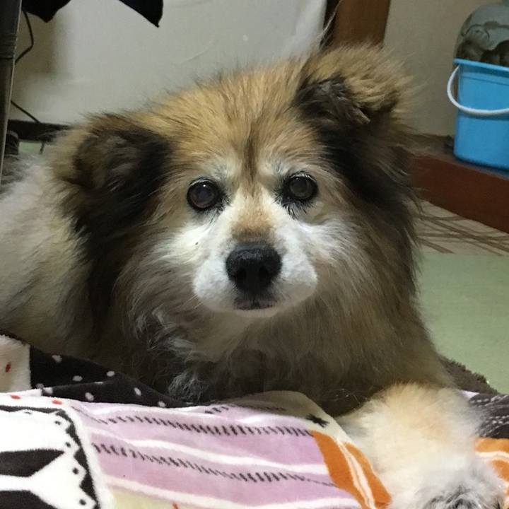 59b32b76 c704 4415 be78 897a77e27efa 1593975273532