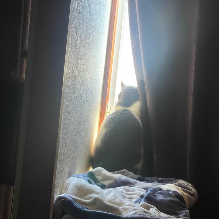 59b32caf 57d3 4696 b28b 1d2cd4b7505e 1710982920701