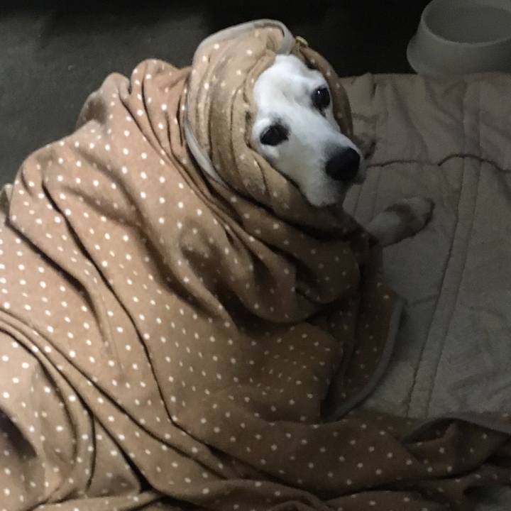 59b331a9 93a9 4d26 8f0e d026ee574aac 1510806558525