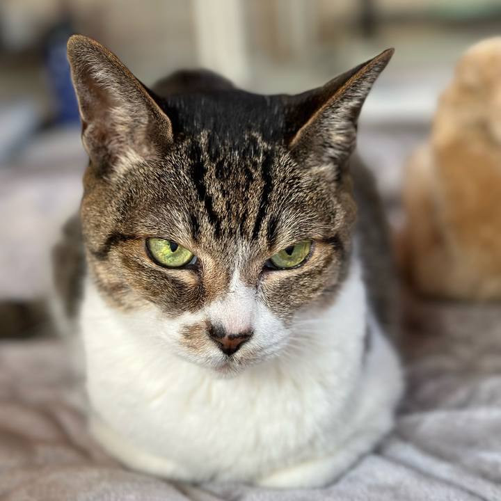 59b33252 4e84 4947 8178 232cdd39a38b 1675823266538