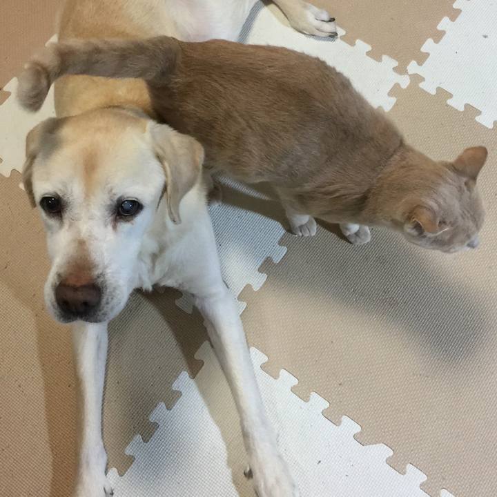 59b34367 f7e5 48a9 a11b 30f712abcaed 1518003179686