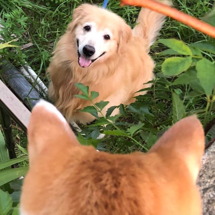 59b34768 341c 4458 88f0 b90370bddf70 1538555715831