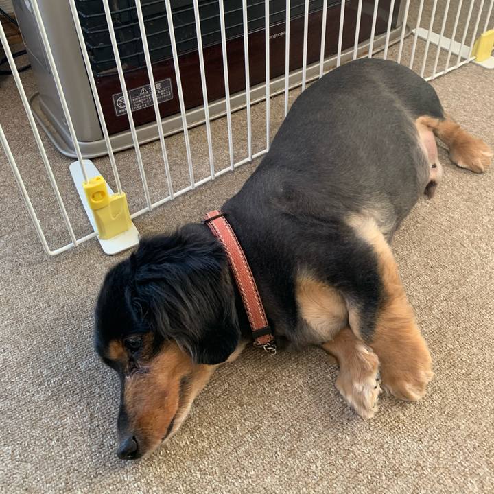 59b3848d 287d 4bf3 bb6e bced5d5c9869 1608419878285