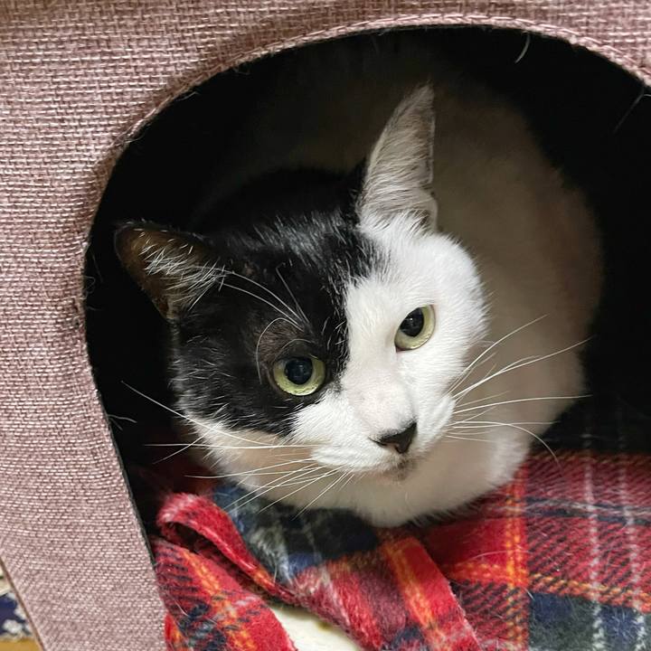 59b38f5d 2eff 4b89 b49a 800fe16d0aa7 1767010262088