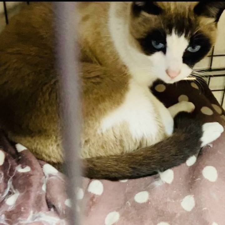 59b3e79e 2764 48a1 b783 41ccaa69df5b 1741261619157