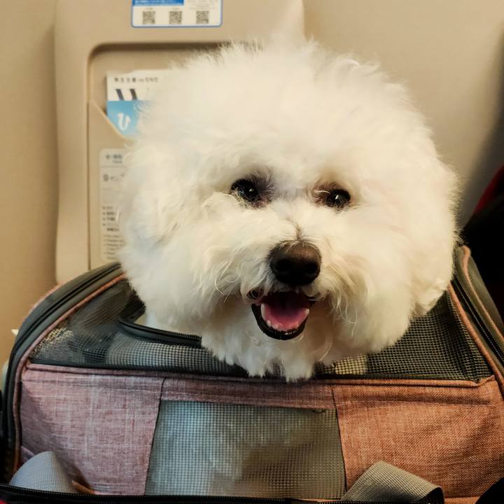 59b40831 5816 4363 8f43 833f4e6609d6 1763068413896