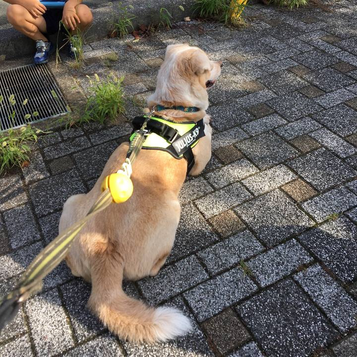 59b4a2f1 f49c 4497 b853 f57f051e521f 1537141528172