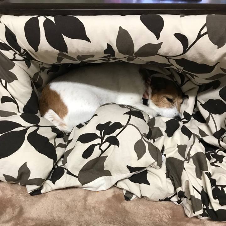 59b4bc1e 6348 4a0f 9e4d 3609bdf34f17 1519470019081