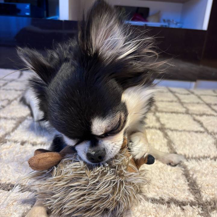 59b4d45c 69ae 451c 8edd d59dc6e0bf18 1740327206518