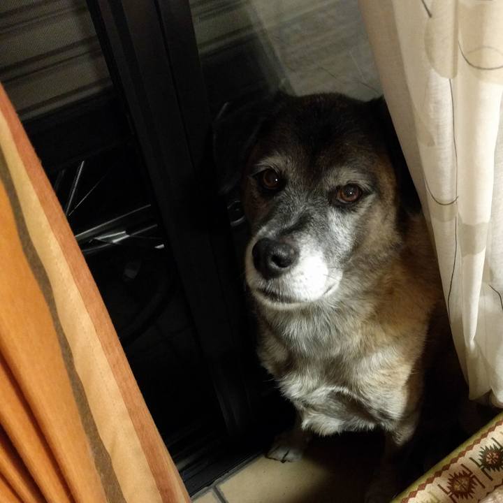 59b4e7a4 9e8c 4be1 afec f0e6f463b1e3 1508766400316