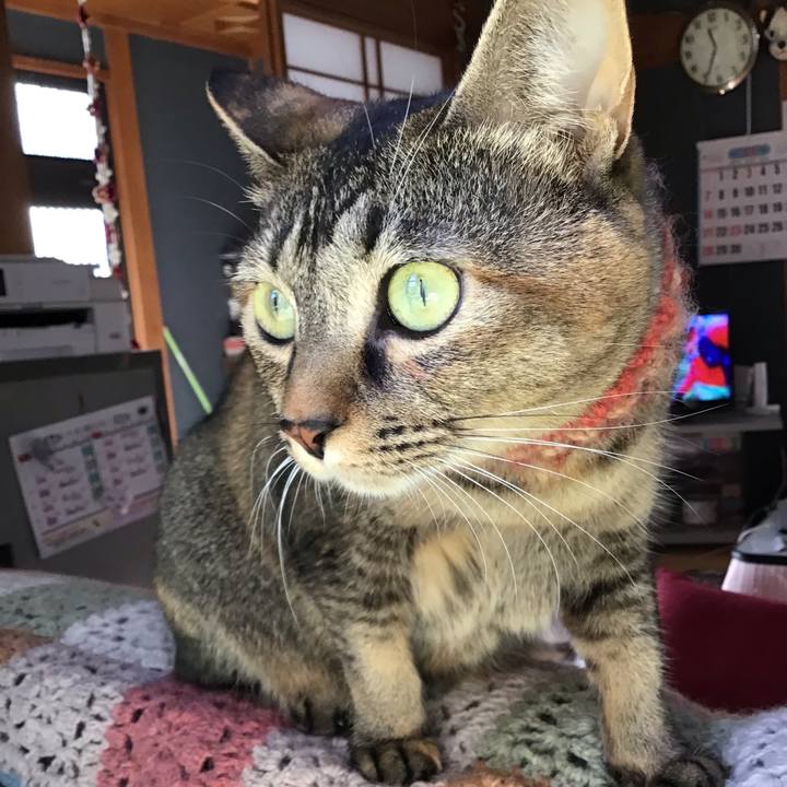 59b4ea95 05e5 4843 8cbd 01f0565b47f4 1636089847212