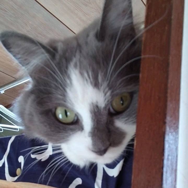 59b553be 46d5 47b9 bf40 42ca85443492 1733639034977