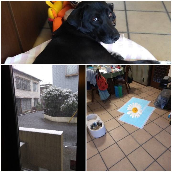 59b576f1 ed8d 4d90 b341 427e05dd8ef4 1585437611355