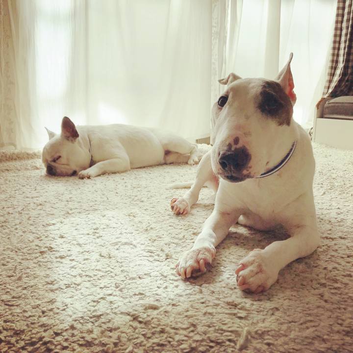 59b5afc4 4c79 4b21 a5c5 e9e7dc551bb2 1534723743771