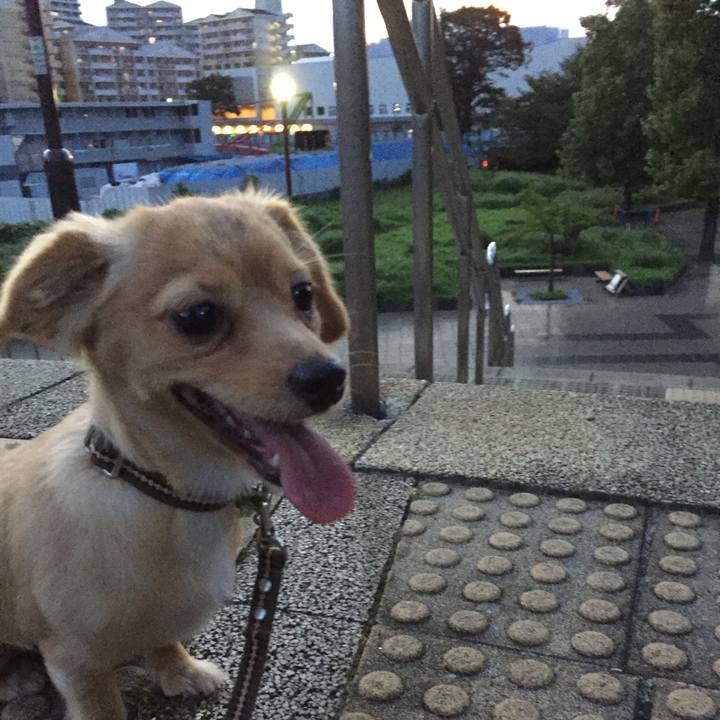 59b5b456 ea9d 4efa b2c5 f6a32d3cf413 1534241809488