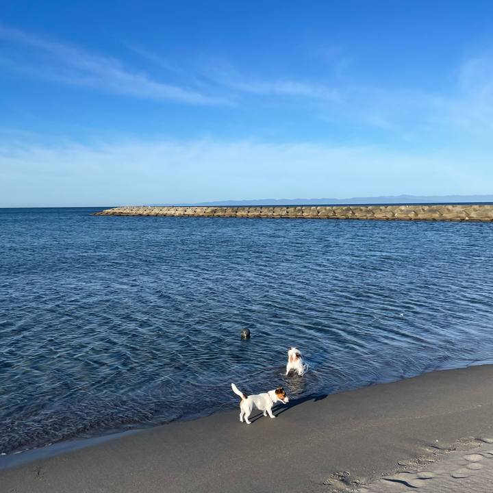 59b5b741 83b7 4b6e 9e82 5a9e0c1958e1 1636331137791