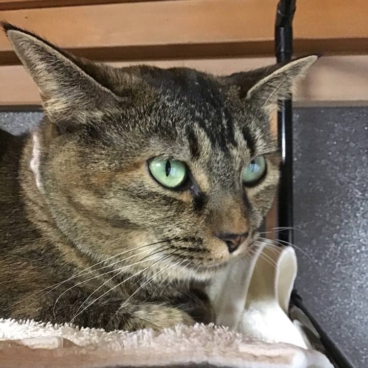 59b5c033 f546 4361 91b5 a2385605c150 1694089790319