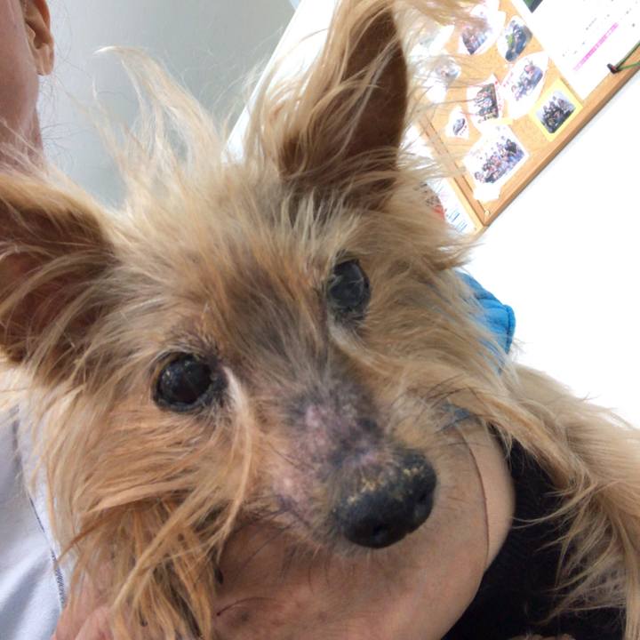 59b5dc80 389e 493b 8447 82970684bb66 1541377415581