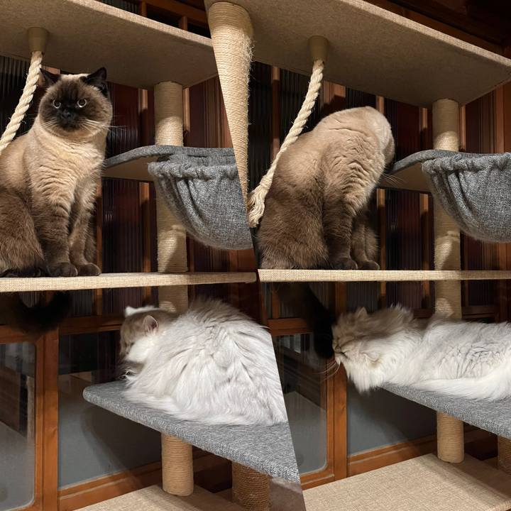 59b5f118 c86d 4f0a a9c5 02ac9e60793b 1641469494412