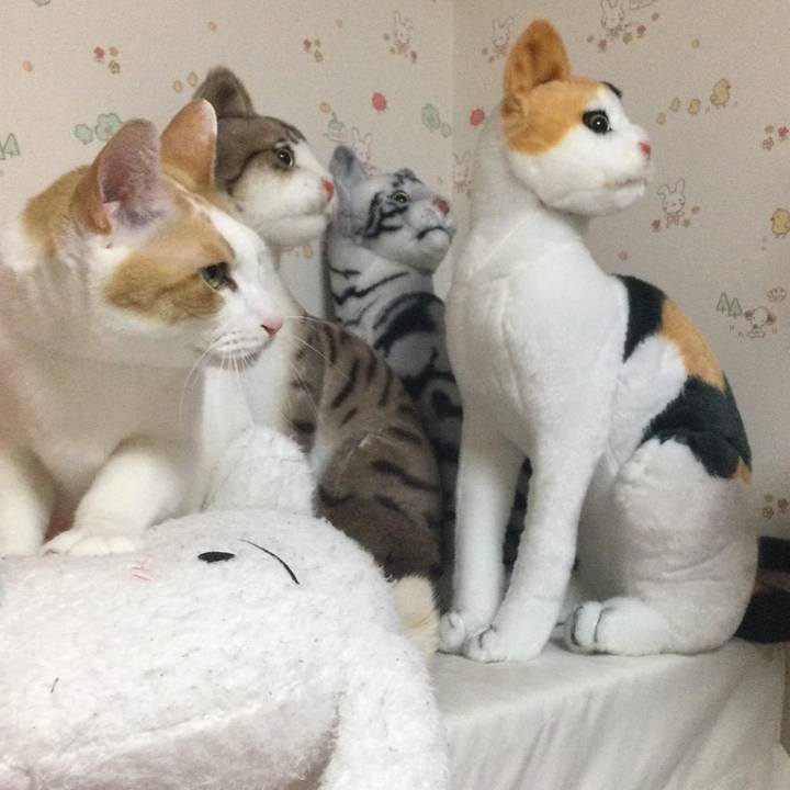 59b625fd af43 49f5 9a80 99298960d8c2 1613426184494