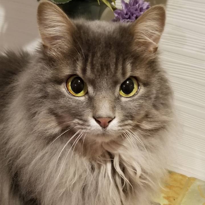 59b667aa 0f90 4027 80ef 4cacc2a78645 1548108662999