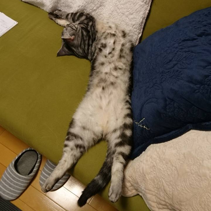 59b67d8c 8ad6 4949 aa50 264344a3c7ab 1514282708880