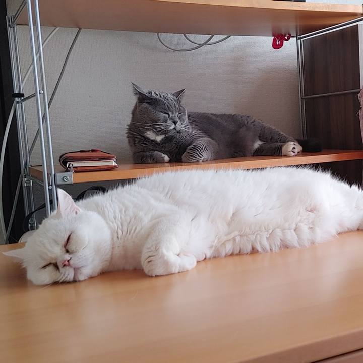 59b6881c 0892 4440 a616 8040aa3ccc09 1649561062393