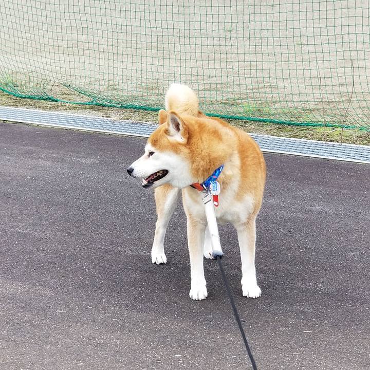 59b69d71 e84d 42f5 a0af 1cee5fe666c7 1536462682486