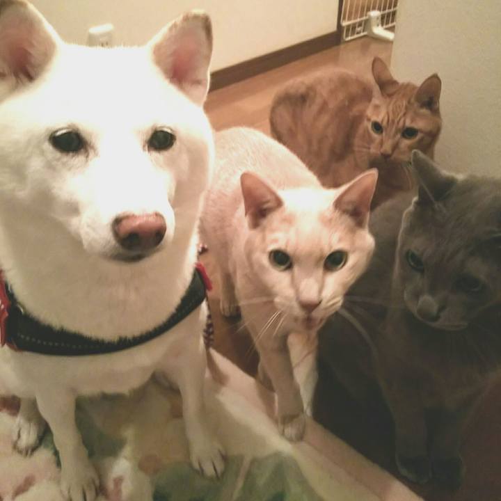 59b6a4ba 495c 472c 8c56 cffeec00220b 1602233492223