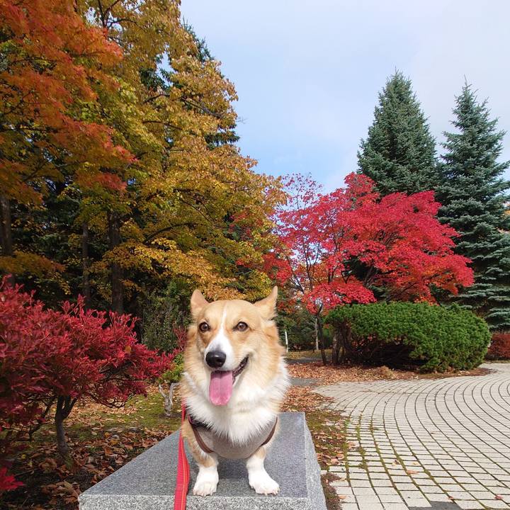 59b6b8d2 bae4 4c2c b970 ed1a7b3fe51d 1761446065217