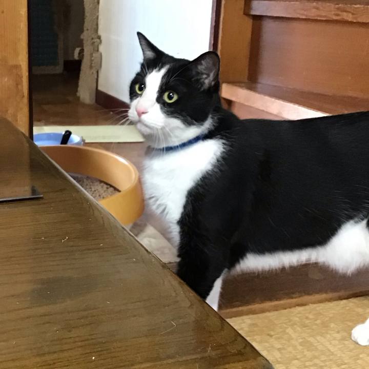 59b6fbed b878 4de3 a866 c388f1c35354 1752479763376